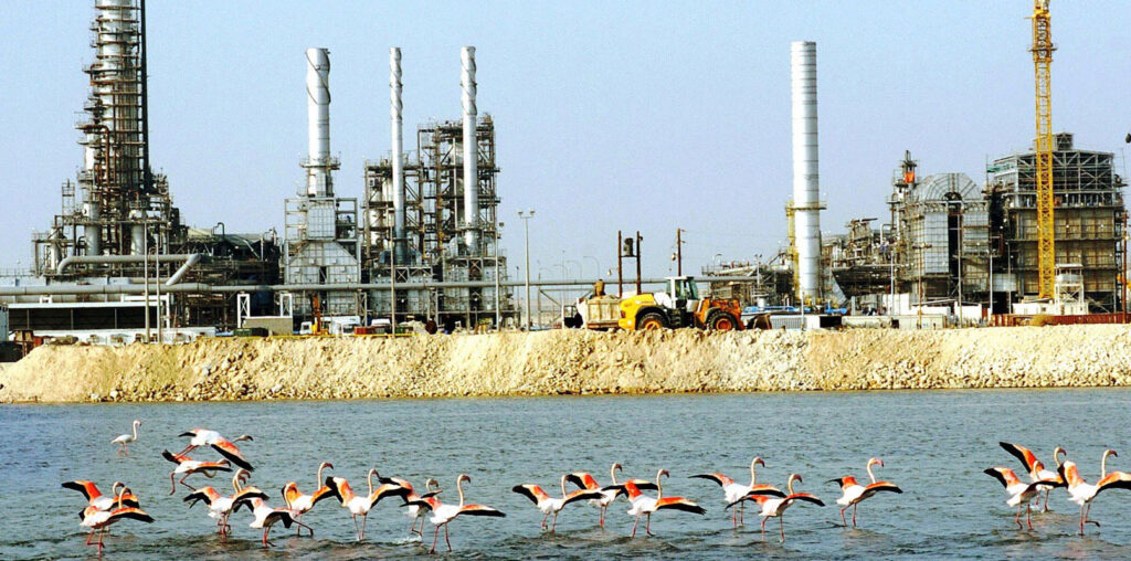 البحرين والنفط الصخري: فرحة في مصيدة الديون