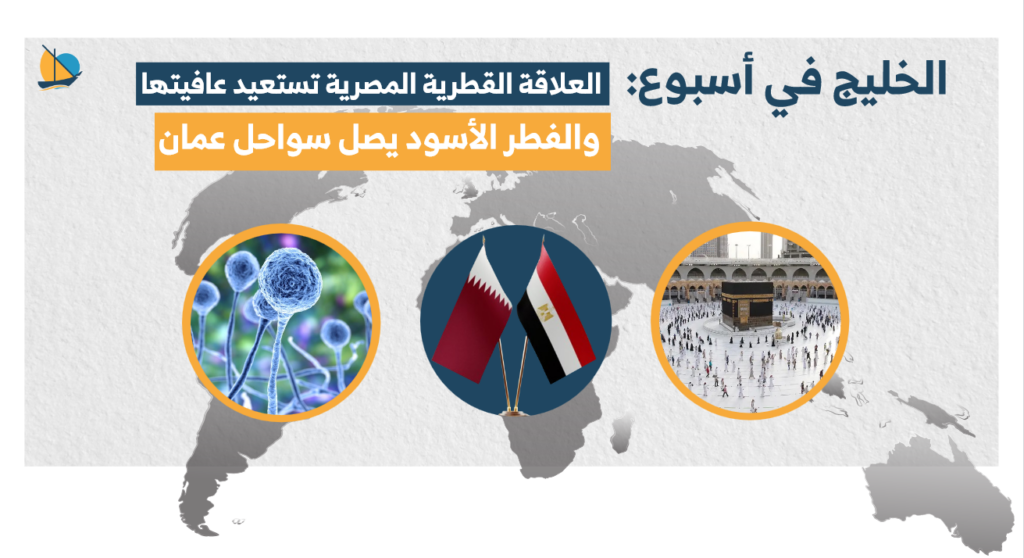 الخليج في أسبوع: العلاقة القطرية المصرية تستعيد عافيتها والفطر الأسود يصل سواحل عمان